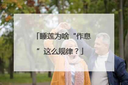 睡莲为啥“作息”这么规律？