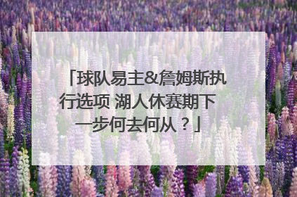 球队易主&詹姆斯执行选项 湖人休赛期下一步何去何从？