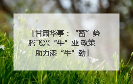甘肃华亭：“畜”势腾飞兴“牛”业 政策助力添“牛”劲