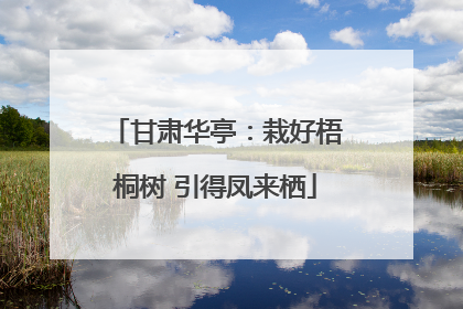 甘肃华亭：栽好梧桐树 引得凤来栖