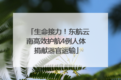 生命接力！东航云南高效护航4例人体捐献器官运输