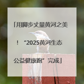 用脚步丈量黄河之美！“2025黄河生态公益健康跑”完成