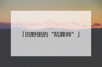 田野里的“精算师”
