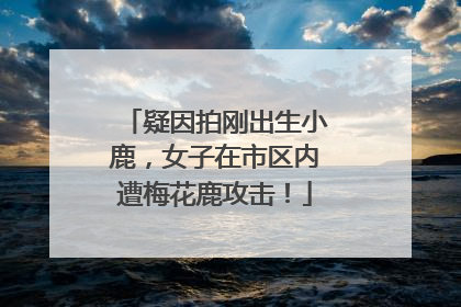 疑因拍刚出生小鹿，女子在市区内遭梅花鹿攻击！