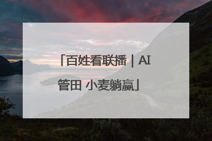 百姓看联播｜AI管田 小麦躺赢