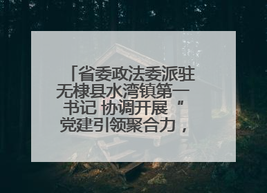 省委政法委派驻无棣县水湾镇第一书记 协调开展“党建引领聚合力，健康义诊惠乡亲”义诊活动
