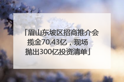 眉山东坡区招商推介会揽金70.43亿，现场抛出300亿投资清单