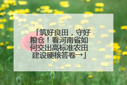 筑好良田，守好粮仓！看河南省如何交出高标准农田建设硬核答卷→