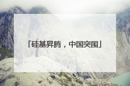 硅基昇腾，中国突围