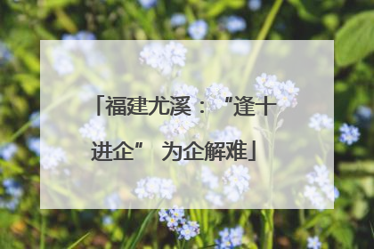 福建尤溪：“逢十进企” 为企解难