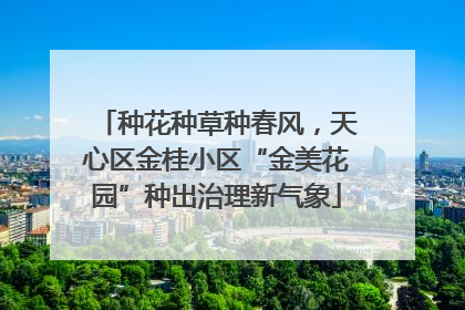 种花种草种春风，天心区金桂小区“金美花园”种出治理新气象