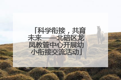 科学衔接，共育未来——北碚区龙凤教管中心开展幼小衔接交流活动