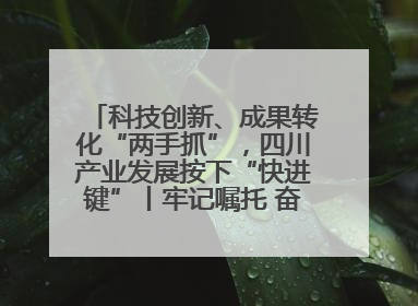 科技创新、成果转化“两手抓”，四川产业发展按下“快进键”丨牢记嘱托 奋力打造两高地两基地一屏障