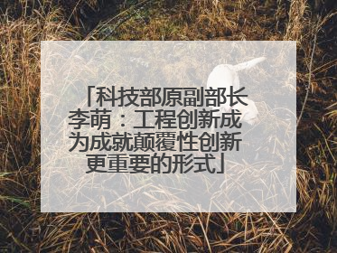 科技部原副部长李萌：工程创新成为成就颠覆性创新更重要的形式