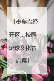 秦皇岛经开区：校园足球文化节启幕