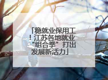 稳就业保用工！江苏各地就业“组合拳”打出发展新活力