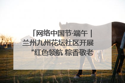 网络中国节·端午｜兰州九州花坛社区开展“红色领航 粽香敬老”端午主题活动