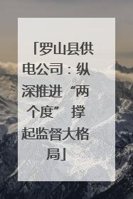 罗山县供电公司：纵深推进“两个度” 撑起监督大格局