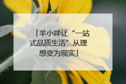 羊小咩让“一站式品质生活”从理想变为现实