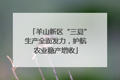 羊山新区“三夏”生产全面发力，护航农业稳产增收
