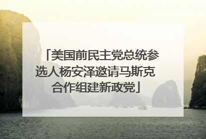 美国前民主党总统参选人杨安泽邀请马斯克合作组建新政党