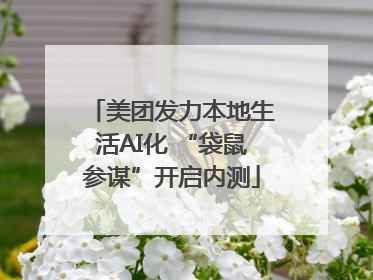 美团发力本地生活AI化 “袋鼠参谋”开启内测