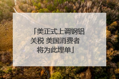 美正式上调钢铝关税 美国消费者将为此埋单