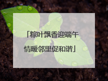粽叶飘香迎端午 情暖邻里促和谐