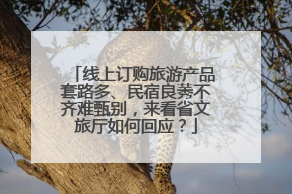 线上订购旅游产品套路多、民宿良莠不齐难甄别，来看省文旅厅如何回应？
