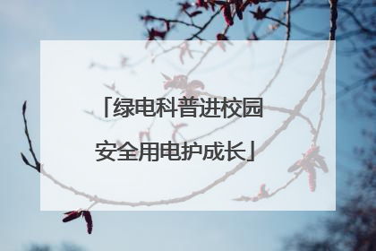 绿电科普进校园 安全用电护成长