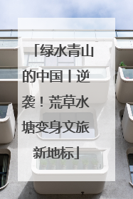 绿水青山的中国丨逆袭！荒草水塘变身文旅新地标