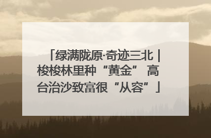 绿满陇原·奇迹三北｜梭梭林里种“黄金” 高台治沙致富很“从容”