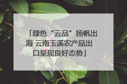 绿色“云品”扬帆出海 云南玉溪农产品出口呈现良好态势