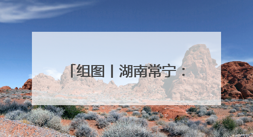 组图丨湖南常宁：夏至到 农事忙