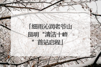 细雨沁润老爷山 昆明“清洁十峰”首站启程