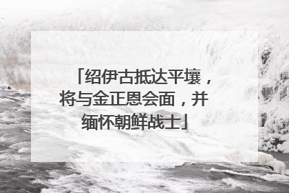 绍伊古抵达平壤，将与金正恩会面，并缅怀朝鲜战士