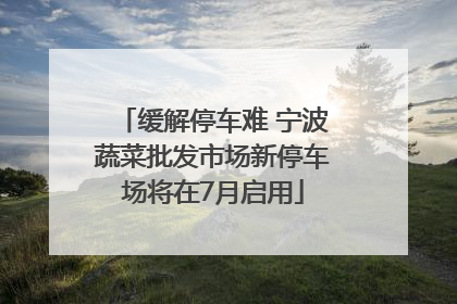 缓解停车难 宁波蔬菜批发市场新停车场将在7月启用