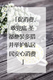 促消费、敢兜底 圣都整装多措并举护航居民安心消费