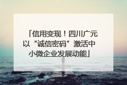 信用变现！四川广元以“诚信密码”激活中小微企业发展动能