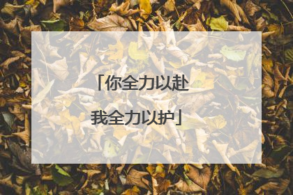 你全力以赴 我全力以护