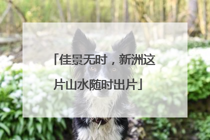 佳景无时，新洲这片山水随时出片
