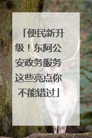 便民新升级！东阿公安政务服务这些亮点你不能错过