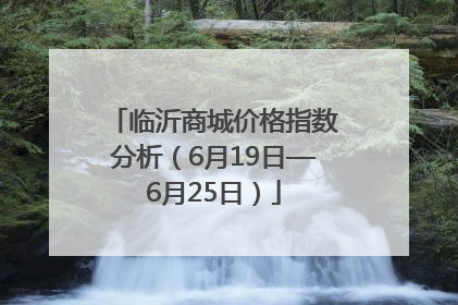 临沂商城价格指数分析（6月19日—6月25日）