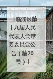 临淄区第十九届人民代表大会常务委员会公告（第20号）