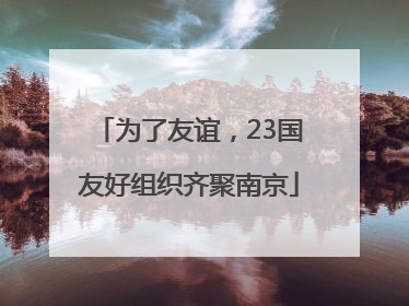 为了友谊，23国友好组织齐聚南京
