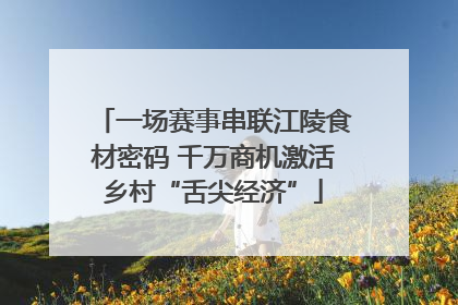 一场赛事串联江陵食材密码 千万商机激活乡村“舌尖经济”