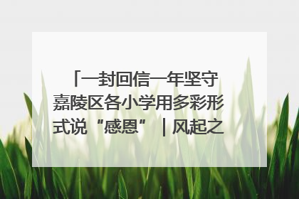 一封回信一年坚守 嘉陵区各小学用多彩形式说“感恩”｜风起之江 扶摇直上