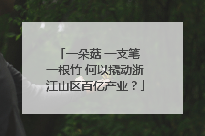 一朵菇 一支笔 一根竹 何以撬动浙江山区百亿产业？