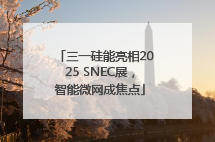 三一硅能亮相2025 SNEC展，智能微网成焦点
