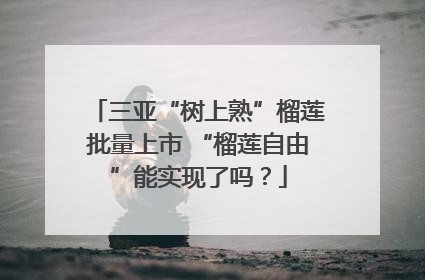 三亚“树上熟”榴莲批量上市 “榴莲自由”能实现了吗？